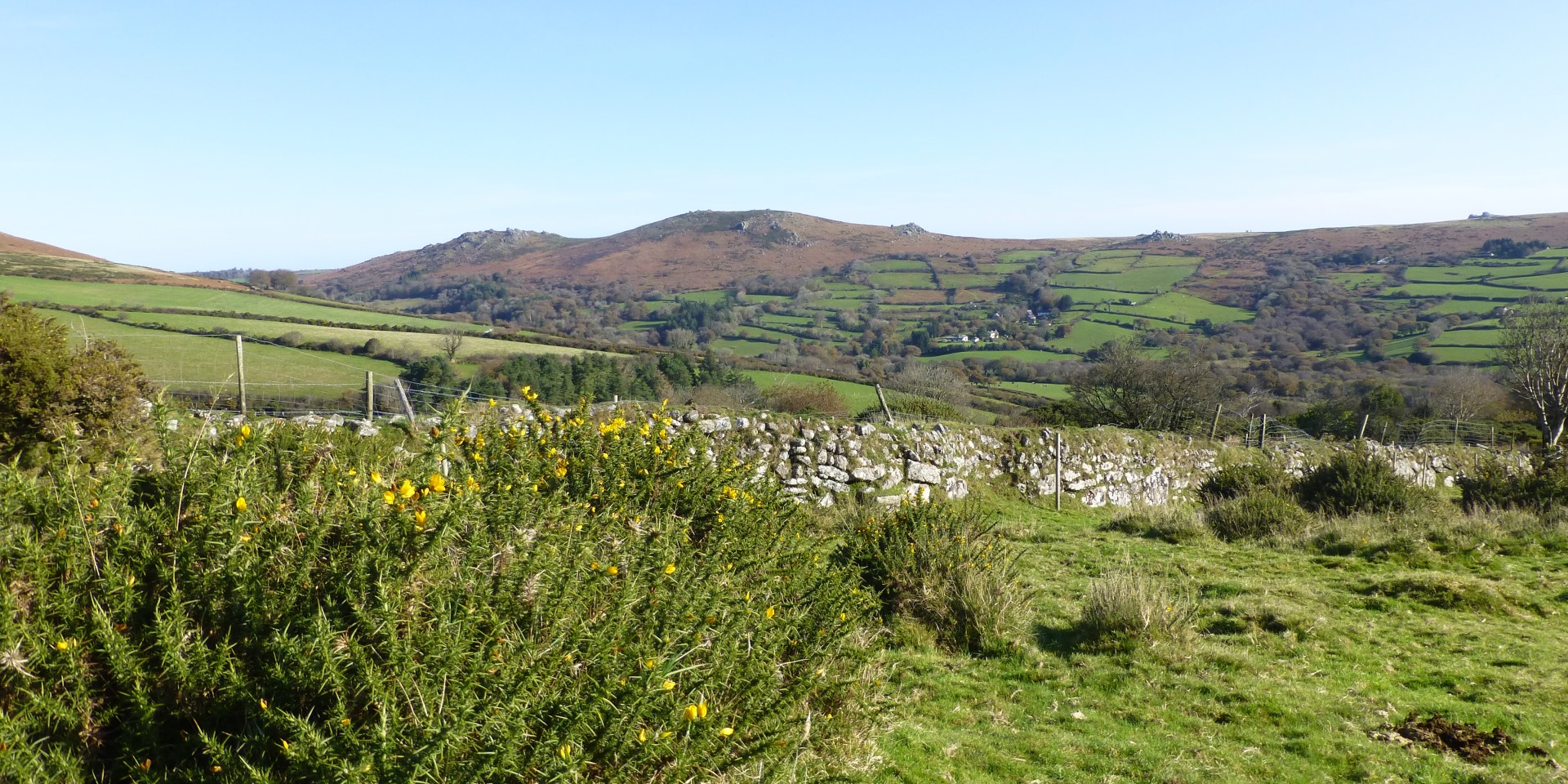 View across Widecombe Valley