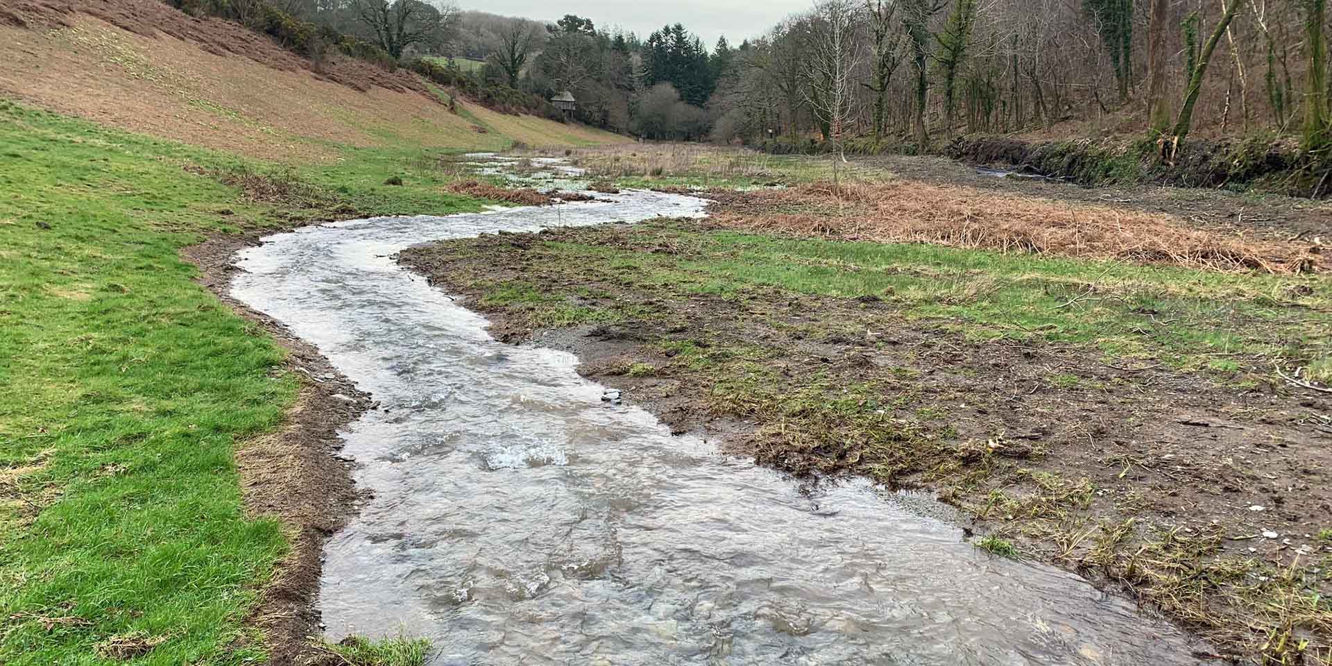 Diverted stream in a meadow