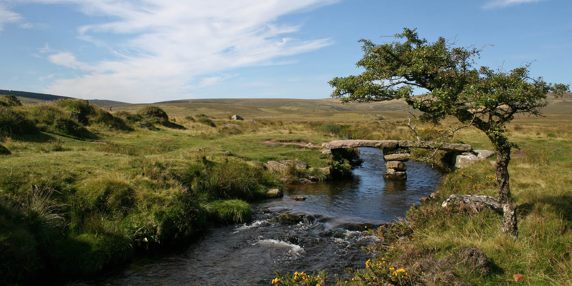 River Teign and clapper bridge on moor