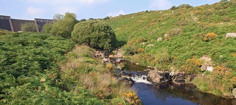 River Avon with dam in background