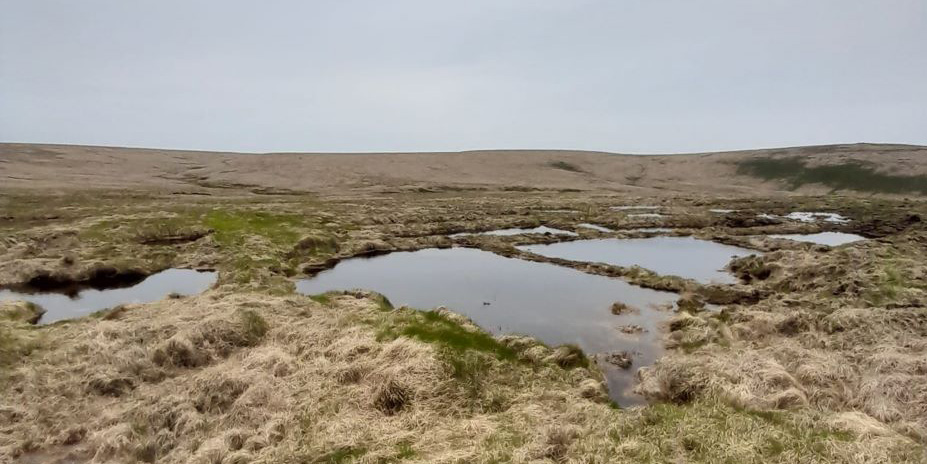 Pools of water after restoration at Ockerton Court