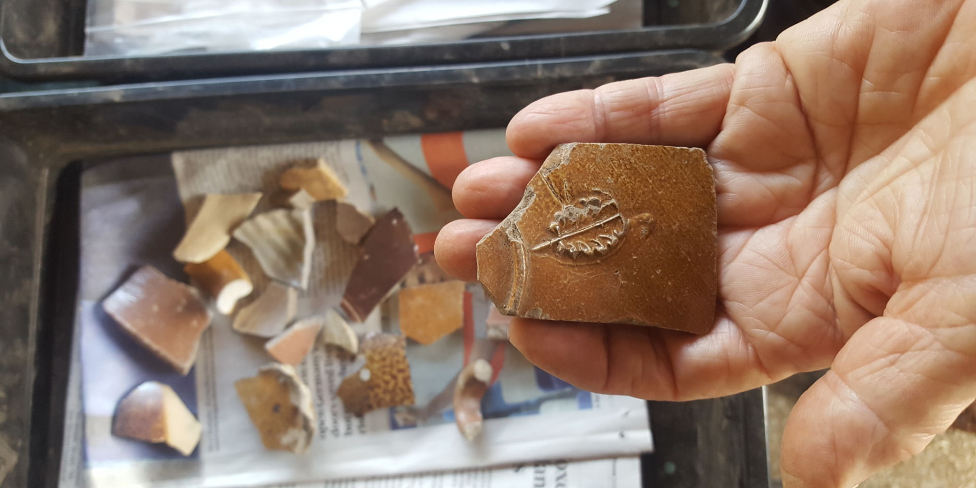 Belllarmine jug sherd