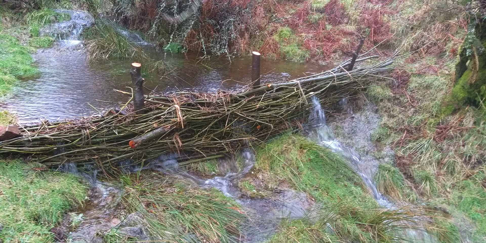 Willow faggot dam holding back runoff water