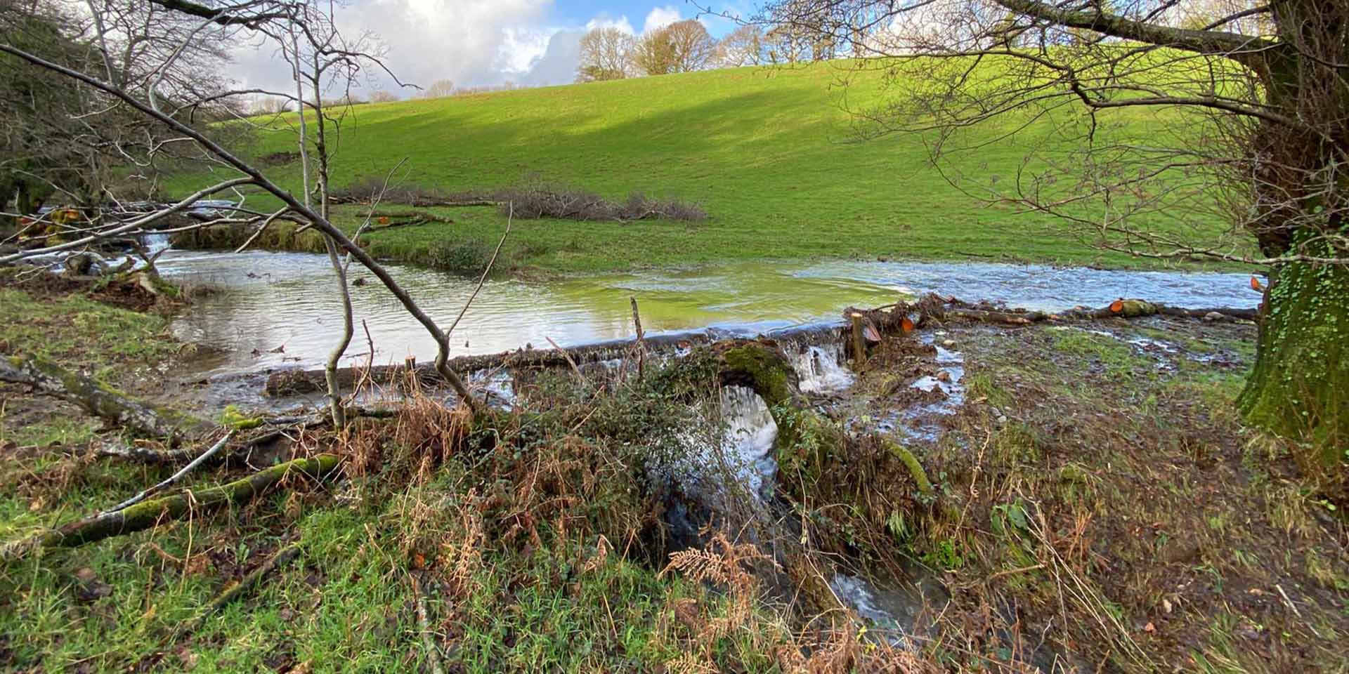 Woody debris dam encouraging water to reconnect with floodplain